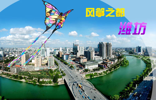 广西建设职业技术学院专业_工程管理专业专升本系列教材:建设工程监理概论_专业网站建设