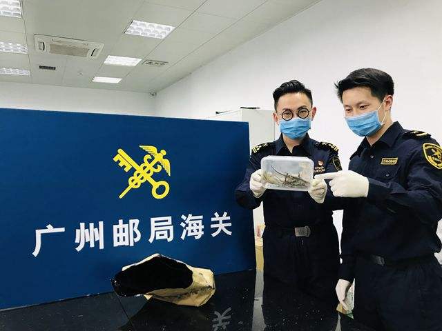 沈阳海关着力营造稳定公平透明可预期的营商环境_seo资讯_太友帮