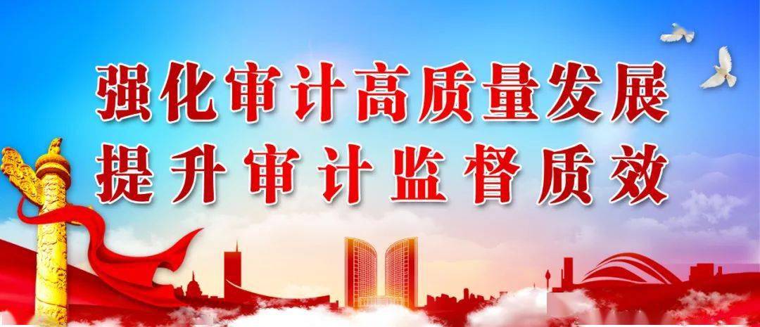 安徽省合肥市审计局发挥审计机关“经济卫士”作用_seo资讯_太友帮