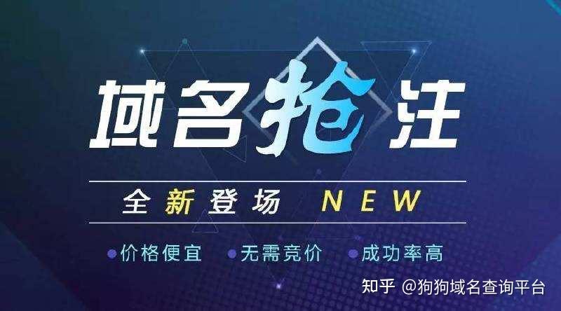 域名预订/竞价：企业网站推广的新选择与方法_seo资讯_太友帮