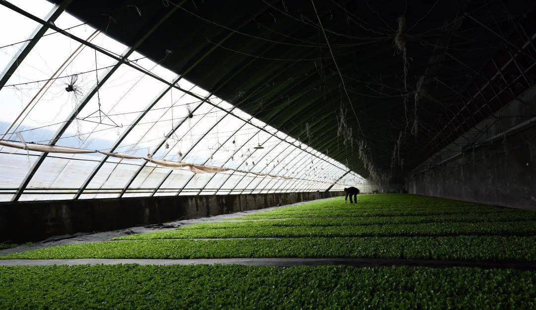 深入实施乡村休闲旅游精品工程，推动农业与旅游等产业融合_seo资讯_太友帮