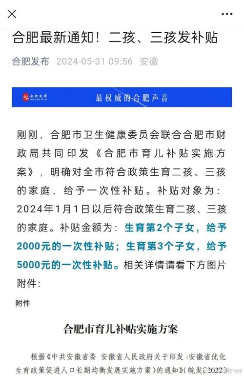 合肥市推出育儿补贴政策，生育二孩三孩家庭可获一次性补贴_seo资讯_太友帮